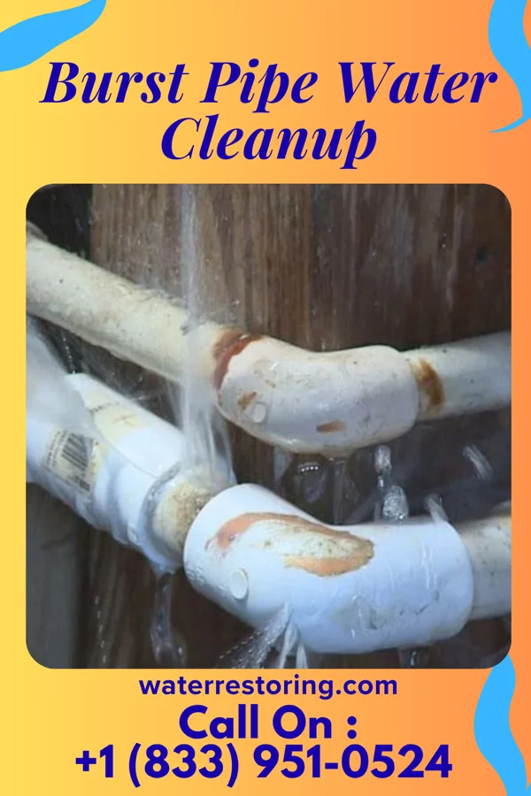 Burst Pipe Water Cleanup in Shoals, IN